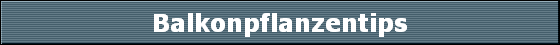 Balkonpflanzentips