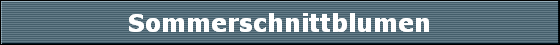Sommerschnittblumen